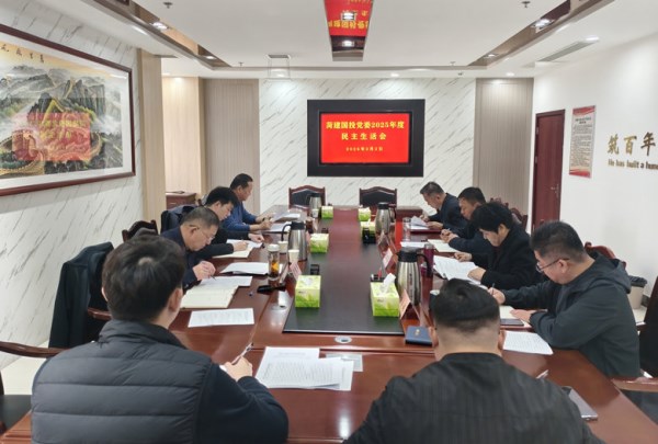 mansion88明升党委召开2025年度民主生活会